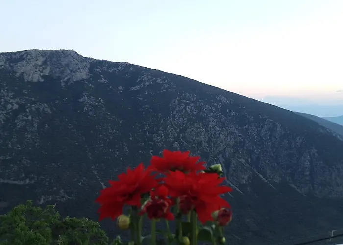 Guest house Epic Delphi